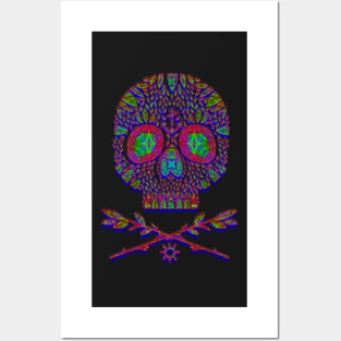 trippy skullart Posters and Art